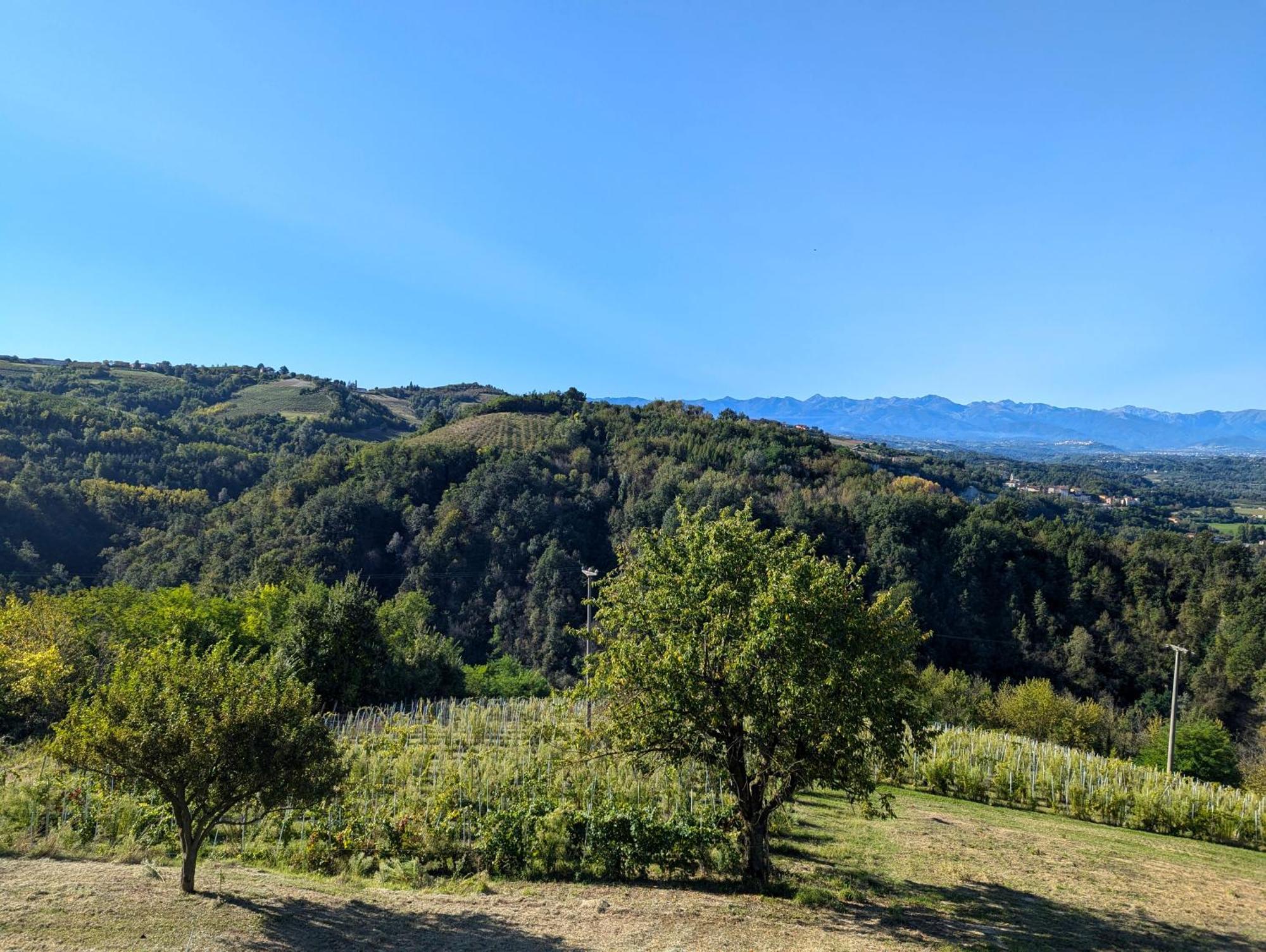 Casa Felice Villa Farigliano Eksteriør billede